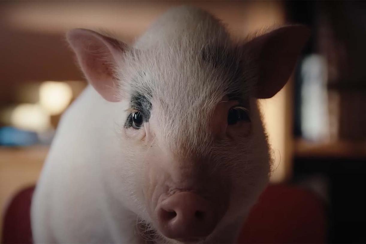 La Vie ad portrays man seeming to eat a ham sandwich with gusto in front of a pig