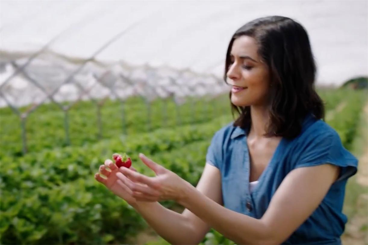 M&S Food plans barrage of 73 ads over four months - Vimarsana News
