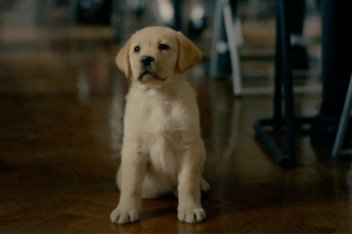 Andrex ad encourages kids to 'poo poo' school toilet embarrassment