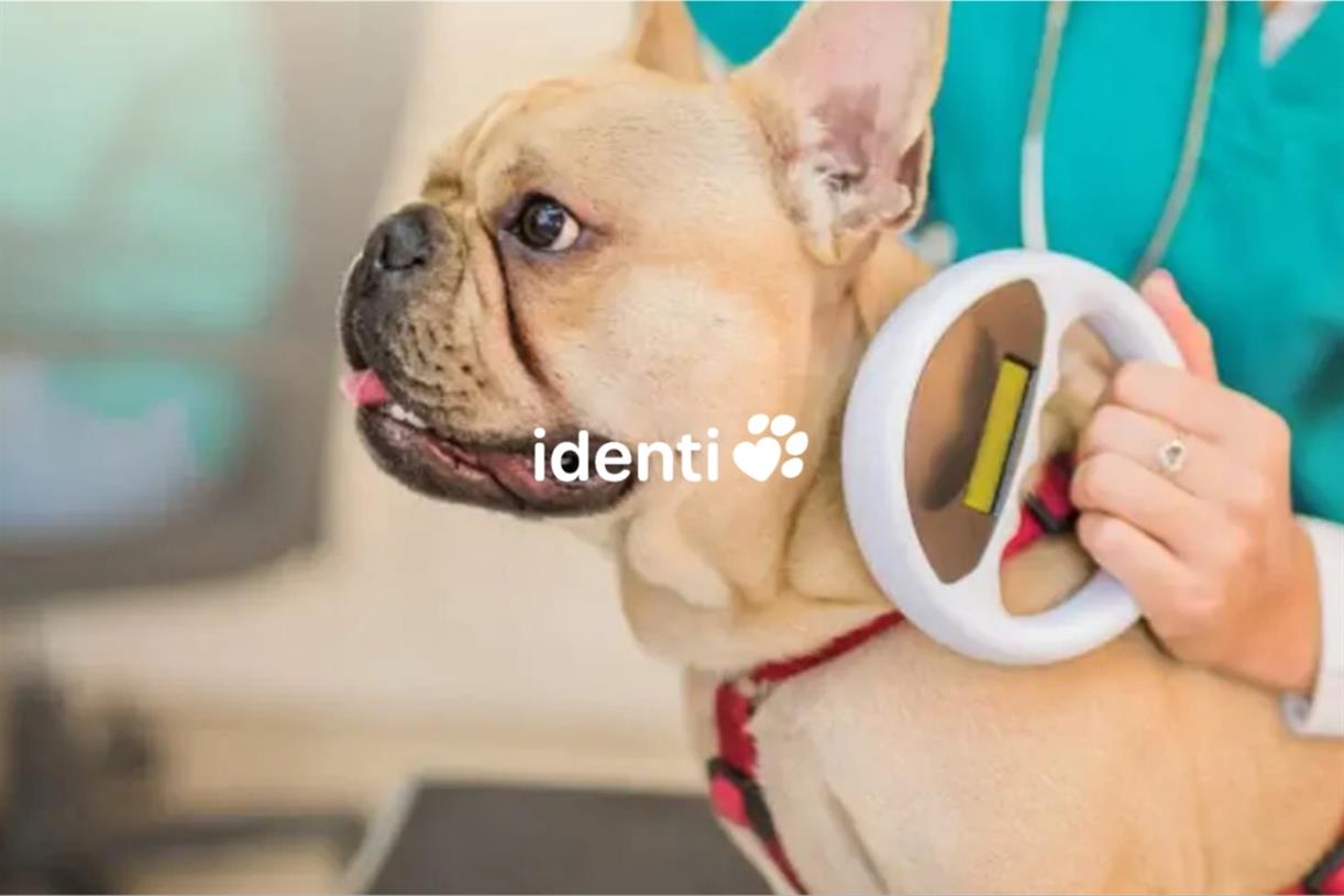Pet tracking firm Identi picks Perfect Storm for creative account