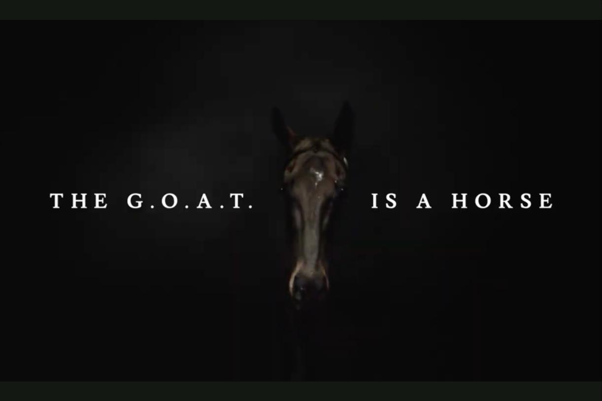 Sky Bet Cheltenham Festival ad reveals ‘G.O.A.T’ as a horse