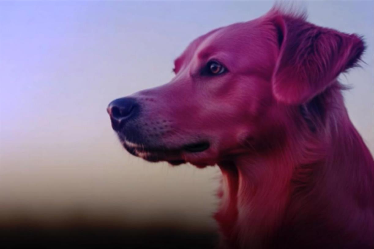 The Specialist Works unleashes first brand mascot