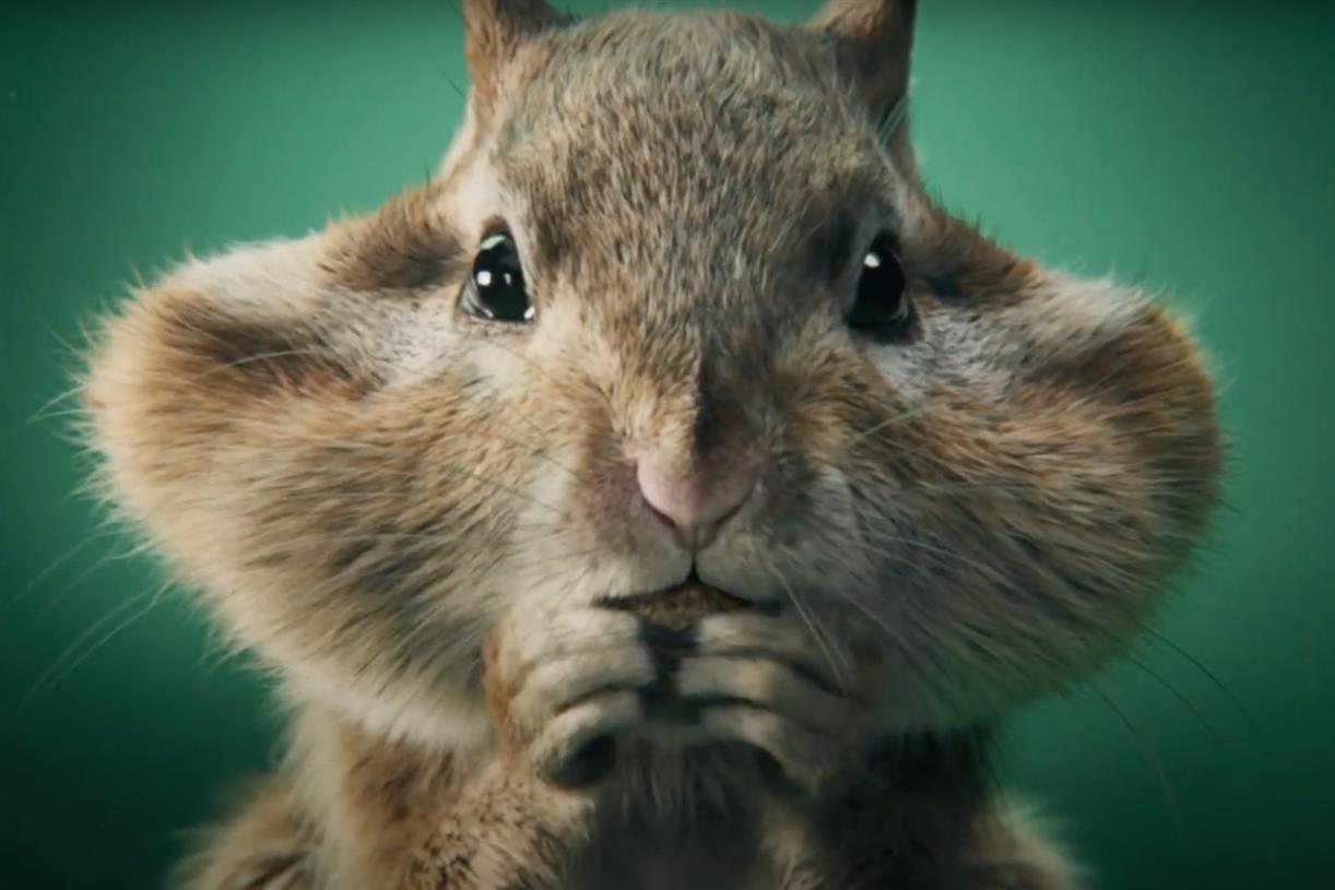 Skoda Elroq ad finds natural inspiration in chipmunks, racoons and hummingbirds