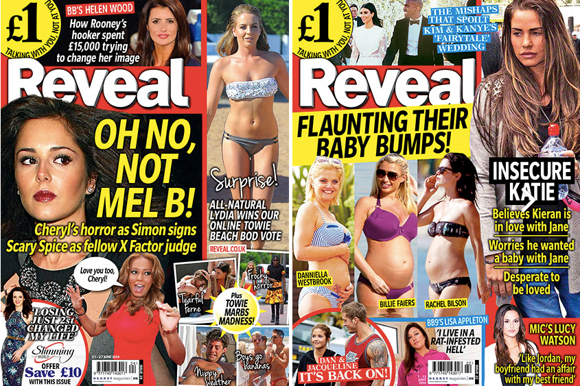 Image result for Reveal magazine