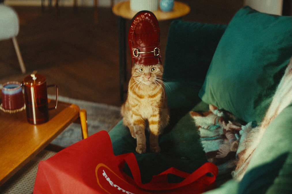 TK Maxx campaign presents cat as global fashion industry shoo-in