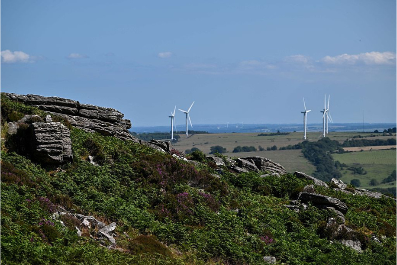 Wildlife Trusts raises total funds to buy Northumberland estate ‘the size of Athens’ for nature