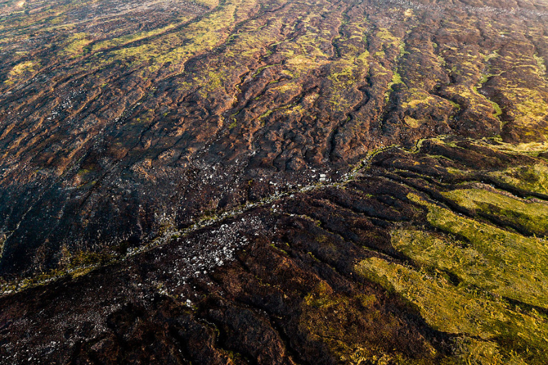 Government should review peat burning restrictions to address wildfire risk, say MPs