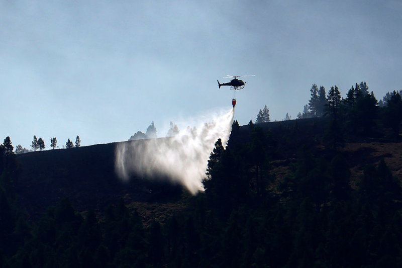 National Trust calls on government to designate nature as critical infrastructure in the face of drought and wildfires