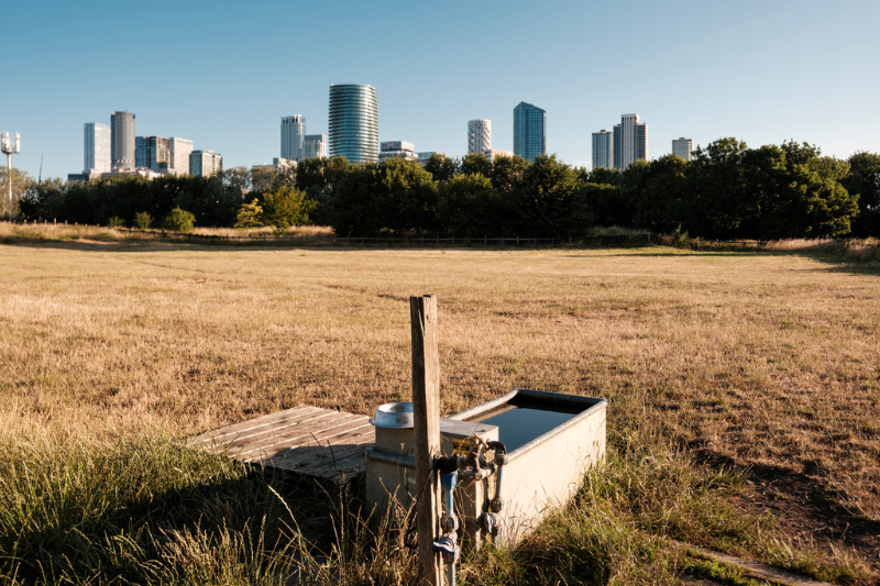 Does Reed’s claim new homes won’t be built ‘without running taps’ hold water?
