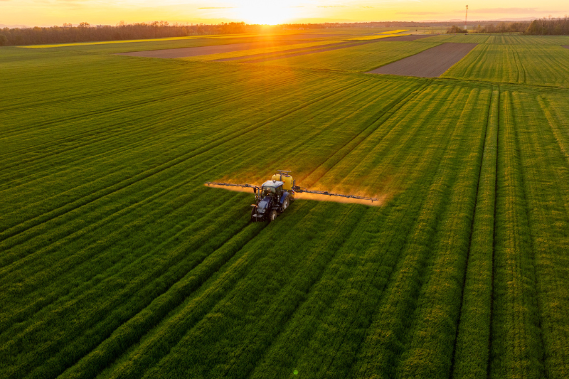 Pesticides in UK food supply ‘generally well-controlled’ despite small increase in breaches, finds final committee report