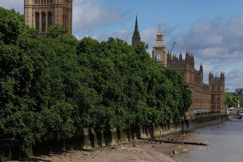 MPs demand ‘unabridged’ version of leaked national security biodiversity report after ‘repeated requests’ denied