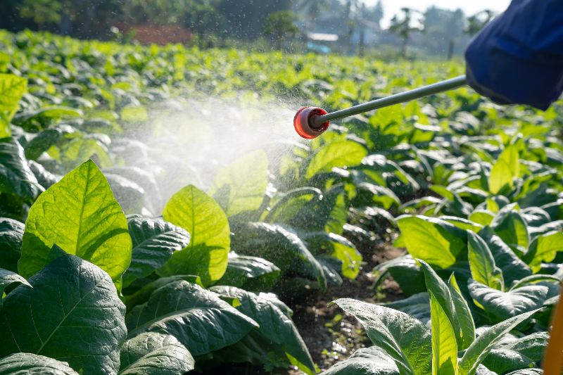Gap in UK-EU chemical protections risks becoming ‘canyon’ under new proposals, warn green groups