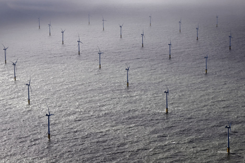 defra-confirms-it-will-push-ahead-with-offshore-wind-habitats
