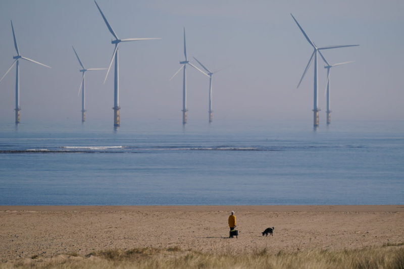 ‘World’s deadliest’ wind farm moves forward after successful renewables contract bid