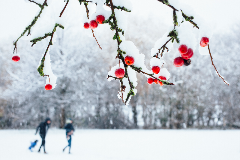 Planning Act details and river walks: 7 environmental stories you might have missed over Christmas