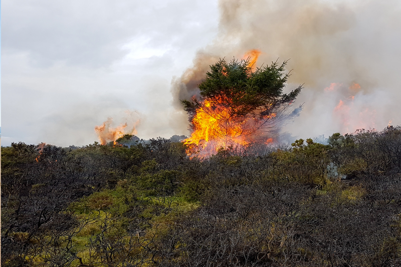 Human-driven climate change likely responsible for ‘first ever UK megafire’, study finds