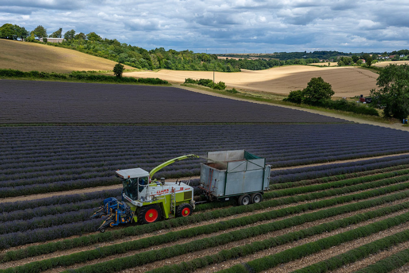 Farming Roadmap: Government sets out plans for regulatory shakeup