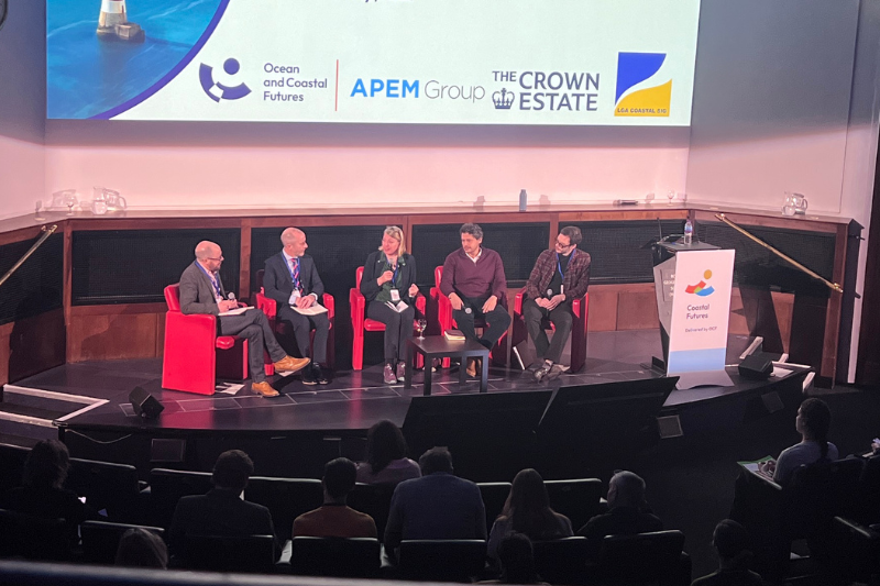 ‘Flux is not helpful’: Inconsistent policies are damaging biodiversity goals for offshore wind, warns industry figure