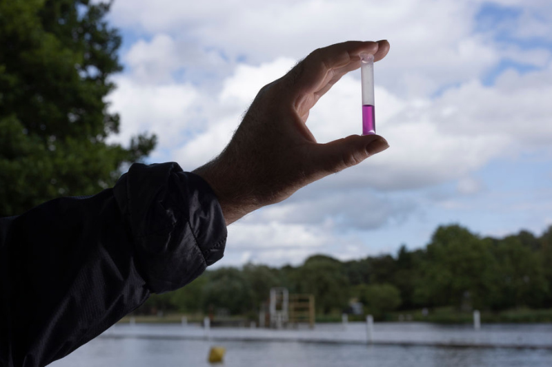 ‘Very worrying’: EA updates on condition of water bodies across England