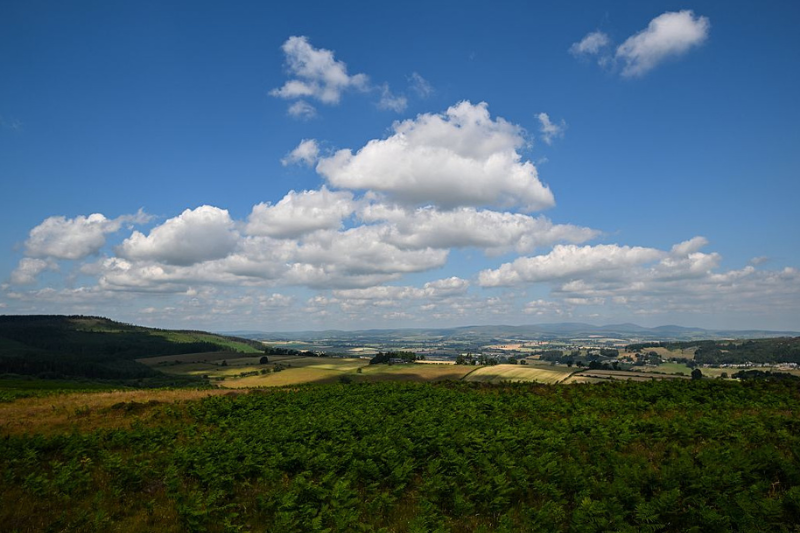 ‘Touching distance’: Wildlife Trusts closes in on purchase of ‘largest piece of land to come to market in 30 years’