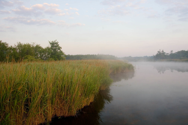Norfolk EDP risks ‘lowering of environmental protection’, says Office for Environmental Protection