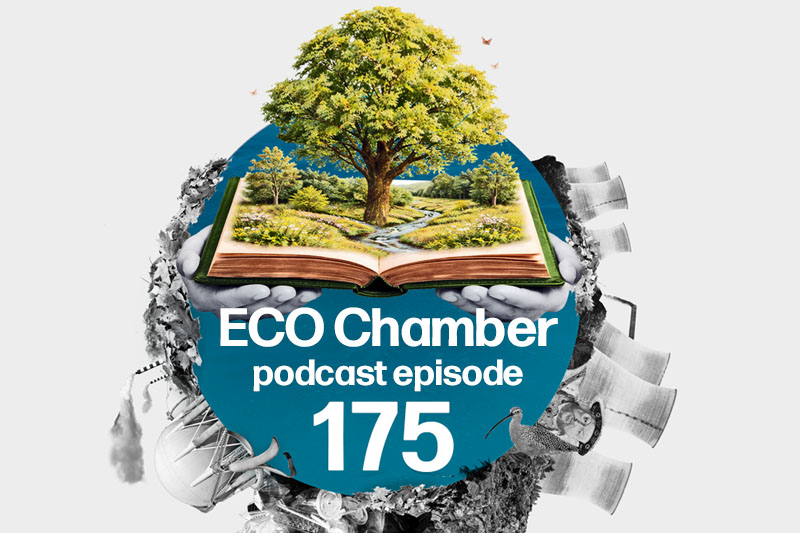 NEW PODCAST EPISODE: Watchdog green light as Treasury updates Green Book