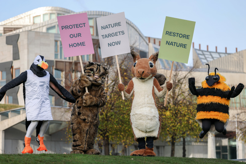 ‘Landmark victory’: Scottish Natural Environment Bill passes into law