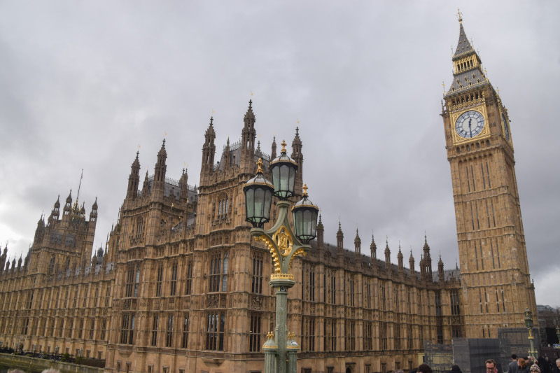 Government system ‘unable to tackle the threat’ from climate change and biodiversity loss’