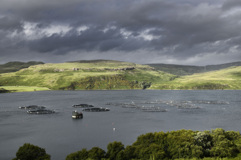 Salmon farm fined ÂŁ70,000 after breaching f-gas regulations