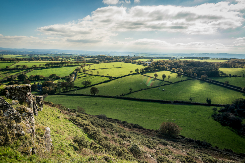 New deputy chair of Natural England board announced