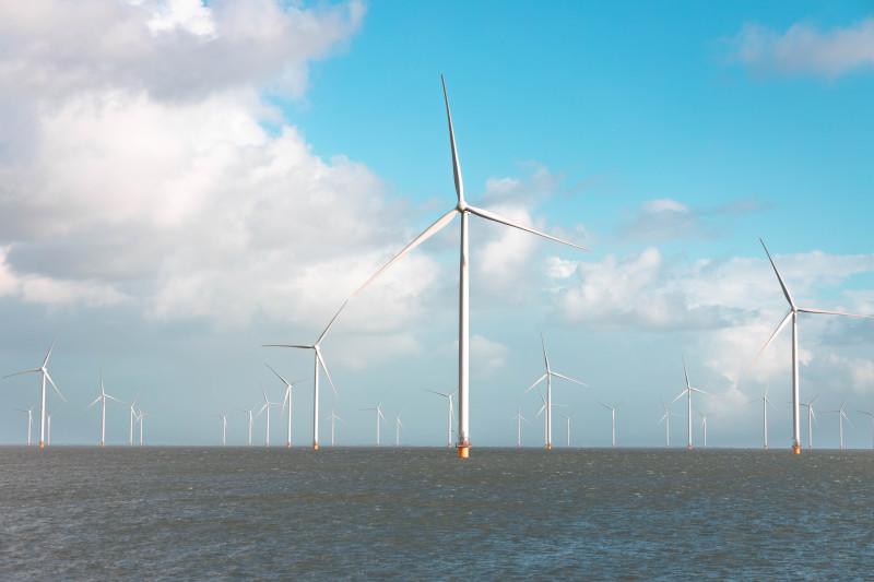 High Seas Treaty comes into force but UK risks ‘missing the party’, say green groups