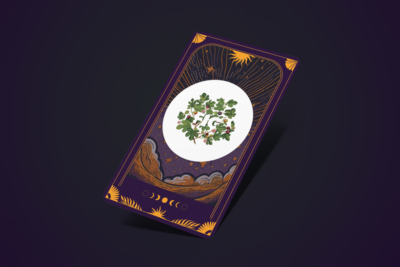 Agency Performance Review 2024: Fig - Campaign US