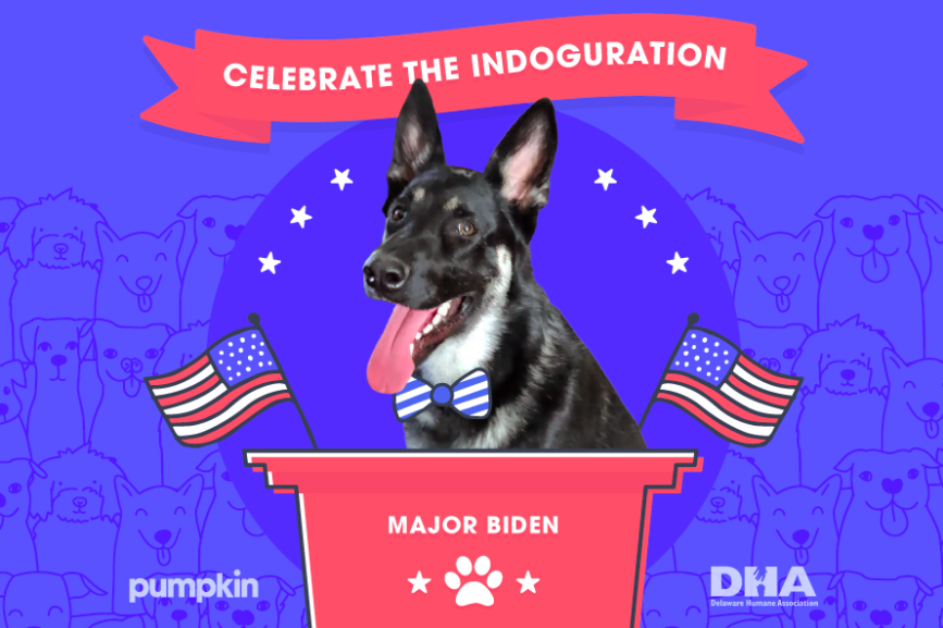 Inside Pumpkin Pet Insurance’s ‘indoguration’ event for Major Biden ...