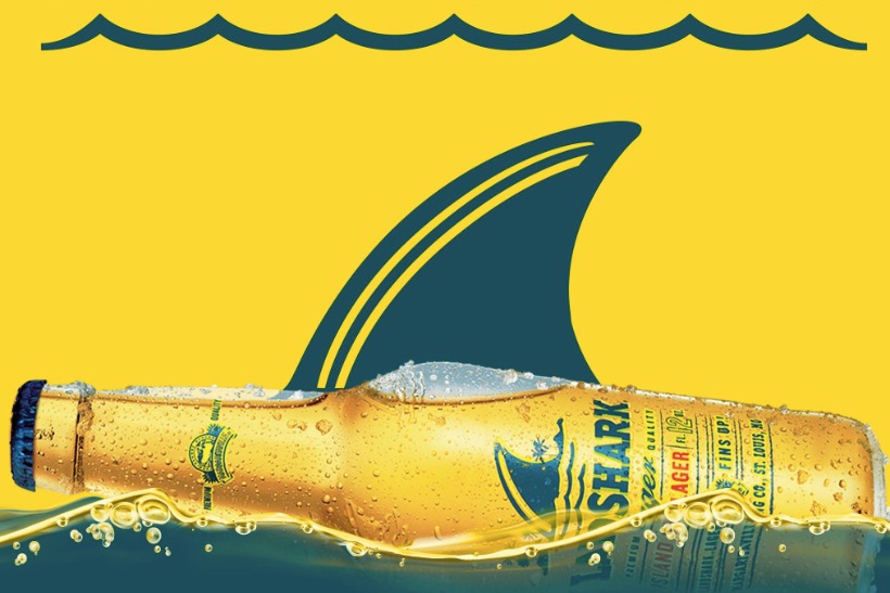 LandShark adopts 100 sharks, offers chance to swim with predators