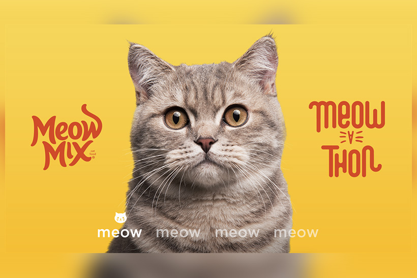 Meow mix please deliver commercial best sale