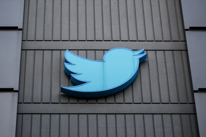 Twitter glitches due to ‘extremely brittle’ code, says Elon Musk