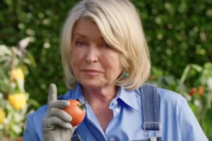 Scott's MiracleGro debuts Super Bowl ad with Martha Stewart, John