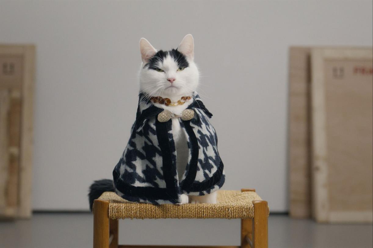 Temptations "Cats lose their cool" by Adam & Eve/DDB Campaign US