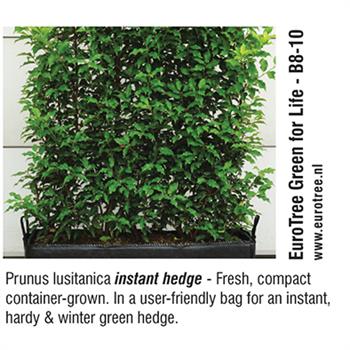 EuroTree Green for Life - Prunus lusitanica instant hedge