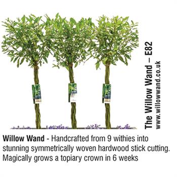 The Willow Wand - Willow Wand