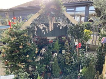 Christmas display at the British Garden Centres Tring centre