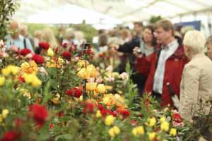 Last year's RHS Tatton Park Flower Show