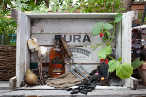 Holler is working with Jura on malt whisky campaign