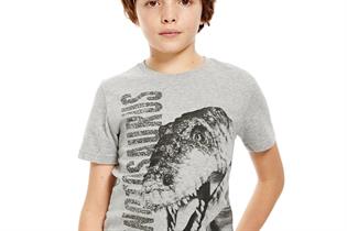 M&S: its new dinosaur-themed range created in association with the Natural History Museum