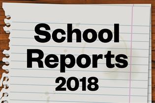 Campaign School Reports
