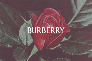 Bond Street' renamed 'Burberry Street' – what were TfL thinking?