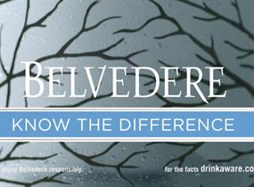 Belvedere Vodka on X: #MAKETHEDIFFERENCE is the message in this @RED  bottle. Get yours:  #endAIDS   / X