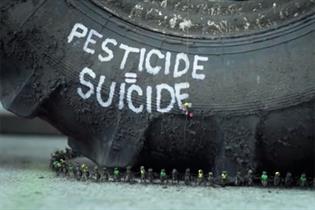 Greenpeace rallies against the use of pesticide to save bees in new ad
