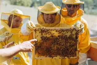 Women holding up a beehive in Grottole, Italy 