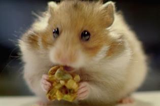 Nokia 'hands on' by Wieden & Kennedy